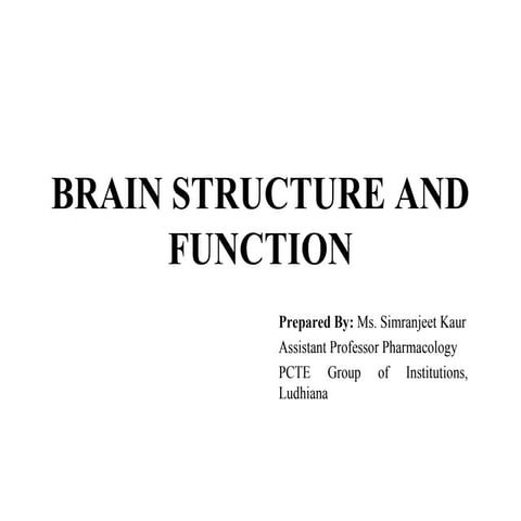 Structure and function of brain