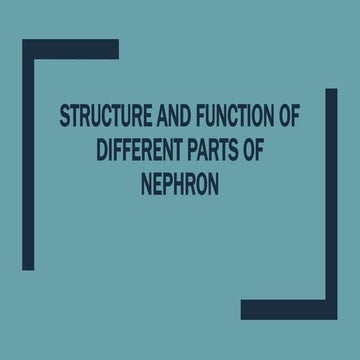 Structure and function of different parts of nephron.pptx