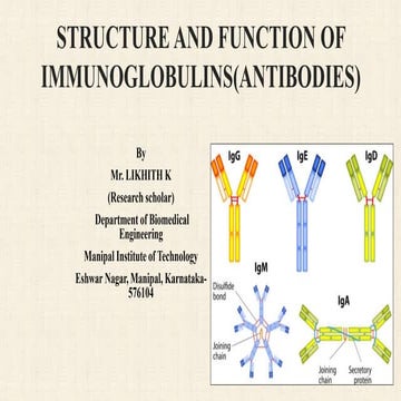Structure and function of immunoglobulins(antibodies) Likhith K