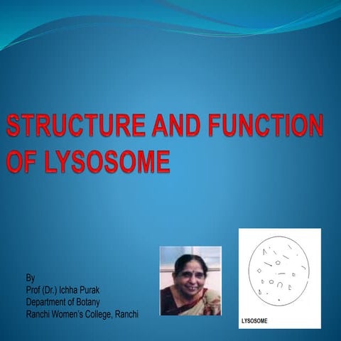 Structure and function of lysosome