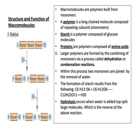 Structure And Function Of Macromolecules1 | PPT