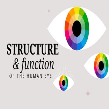 Structure and function of the human eye.pdf