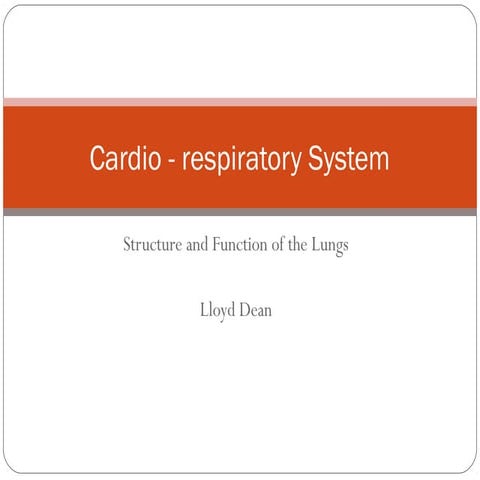 Structure and function of the lungs