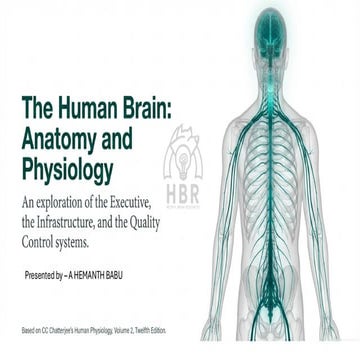 Structure and functions of brain (cerebrum, brain stem, cerebellum).pdf ...