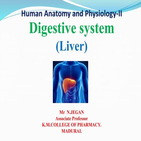 Structure and functions of liver