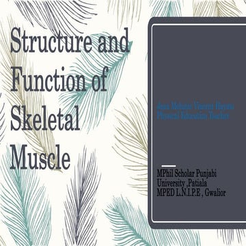 Structure and Functions of Muscle
