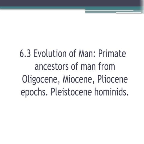 The Evolution of Homo Sapiens: A Story of Survival and Adaptation.pptx