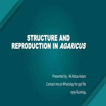 Structure and reproduction in agaricus