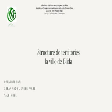 Structure de territories de la ville de blida  (1) (3).pdf