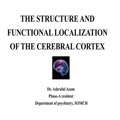 Comprehensive Overview of Cerebral Cortex Structure and Functional ...