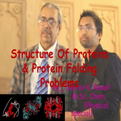 Structure, functions and folding problems of protein