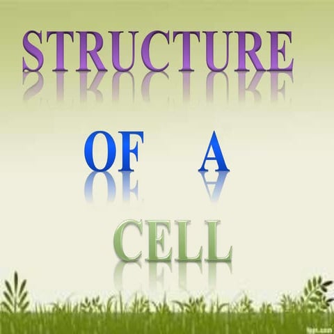 Structure of a cell