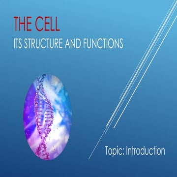 Structure of a cell