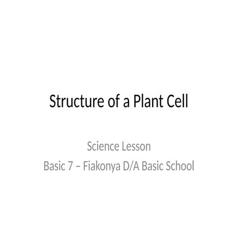 Green and Yellow Illustrative Plant Cell Presentation.pptx