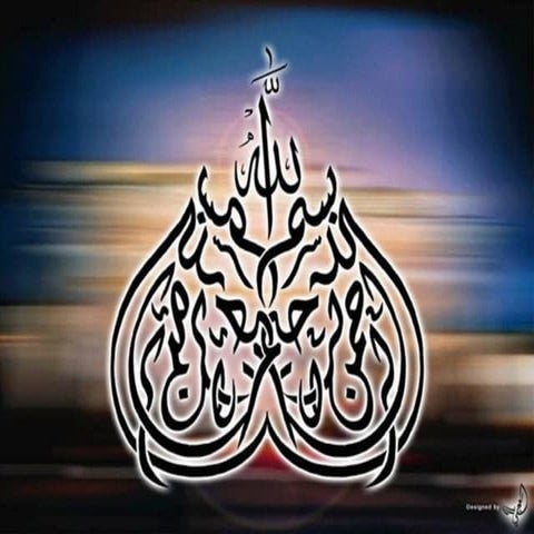 Structure of a prokaryotic cell