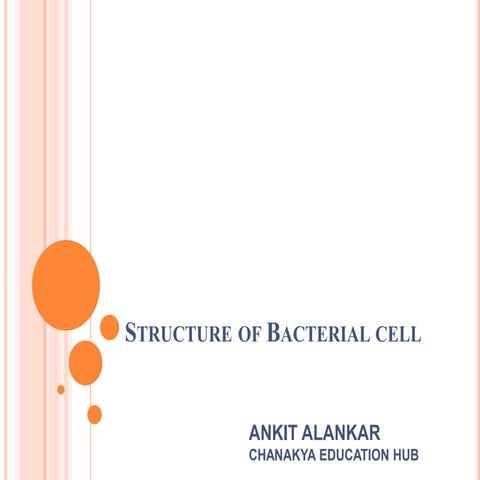 Structure of bacterial cell | PPTX