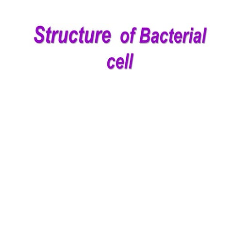 Structure of bacterial cell