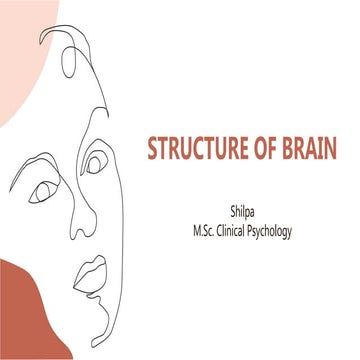 Understanding the Structure of the Brain