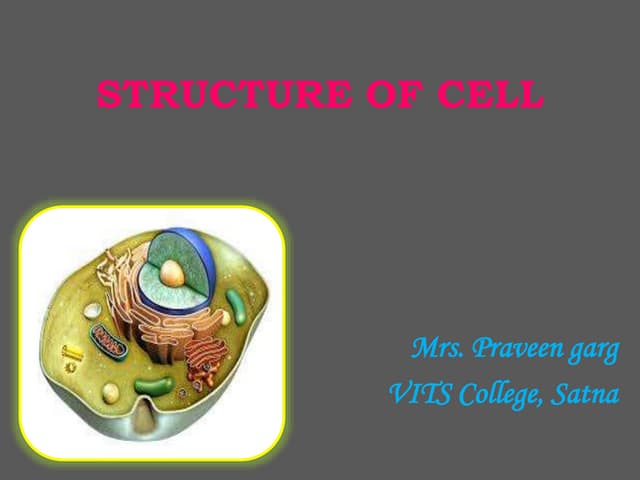 Structure of cell