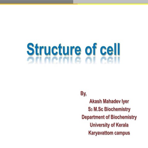 Structure of cell  