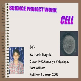 Structure of cell by Avinash Nayak
