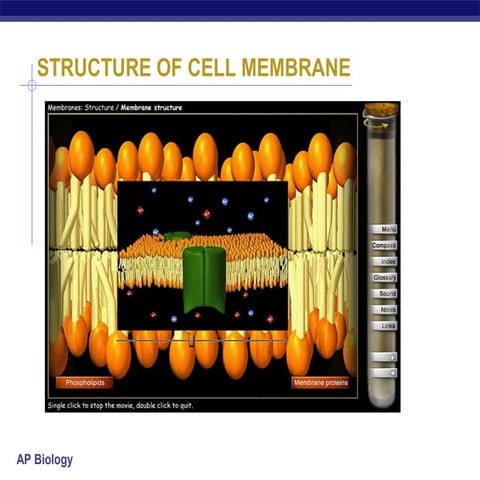 Structure of cell membrane and Transport