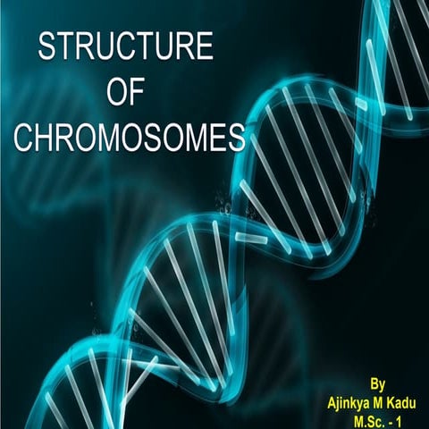 Structure of chromosomes final
