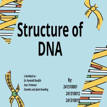 DNA structure | PPT