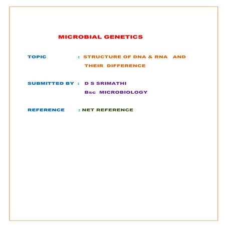 Structure of dna and rna and their difference