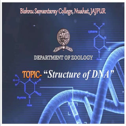 STRUCTURE OF DNA.pptx | Biological Sciences | Science