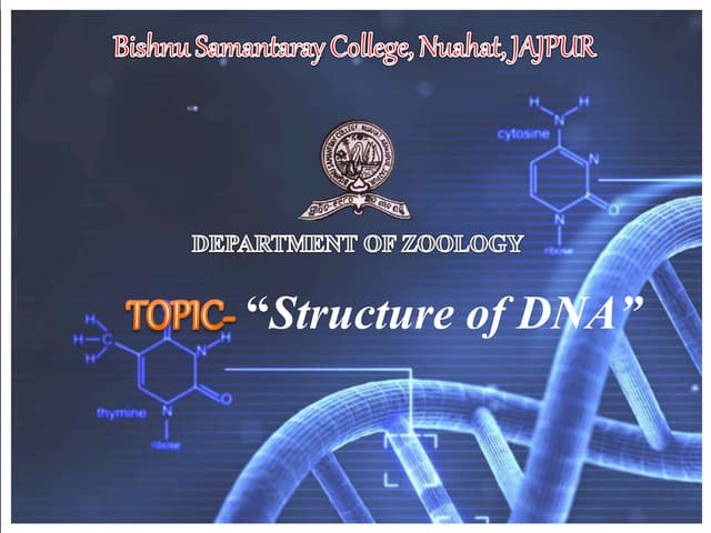 STRUCTURE OF DNA.pptx