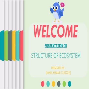 Structure of Ecosystem | PPTX