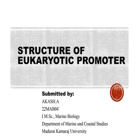 Structure of Eukaryotic Promoter .pptx