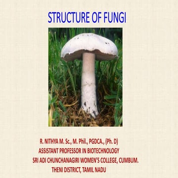 STRUCTURE OF FUNGI.pptx