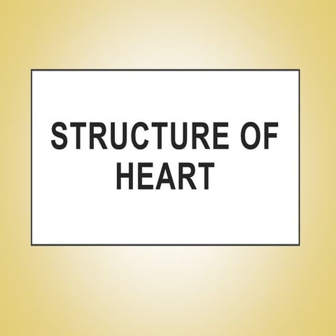 Structure of heart