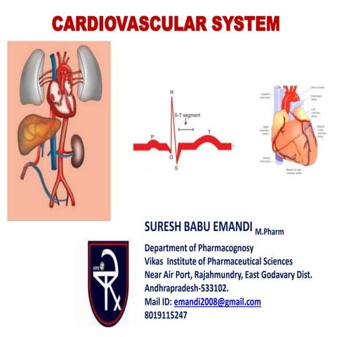 Introduction to Cardiovascular system_structure and functions-1 | PPTX
