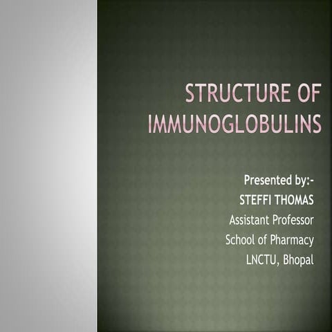 Structure of immunoglobulins