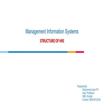 Structure of MIS | PPTX | Databases | Computer Software and Applications