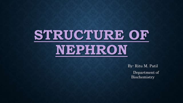 Structure of nephron.pptx Biology Diagrams