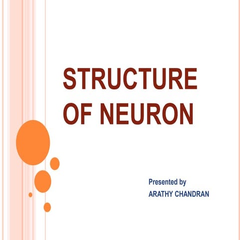Structure of neuron - simple slide