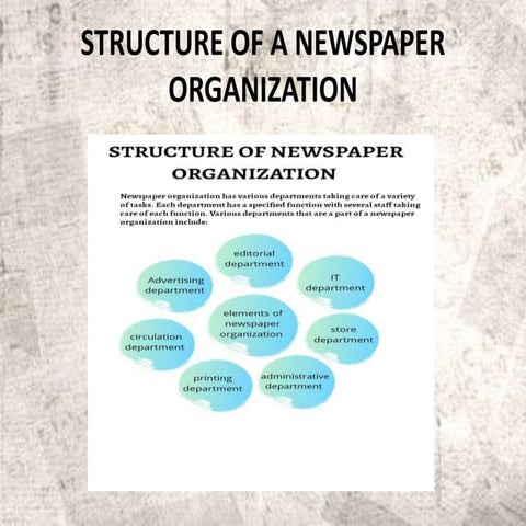 Structure of newspaper organization