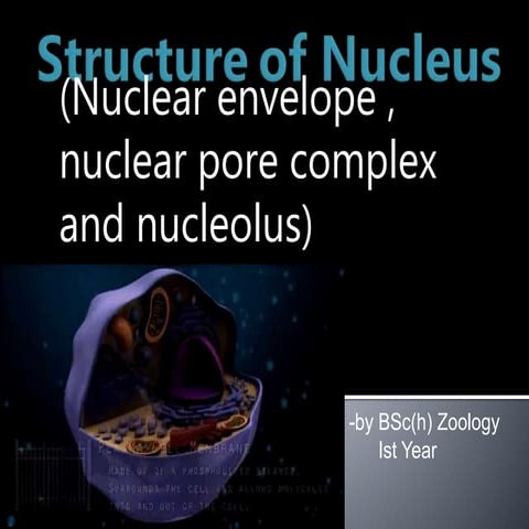 Structure of Nucleus 1.pptx