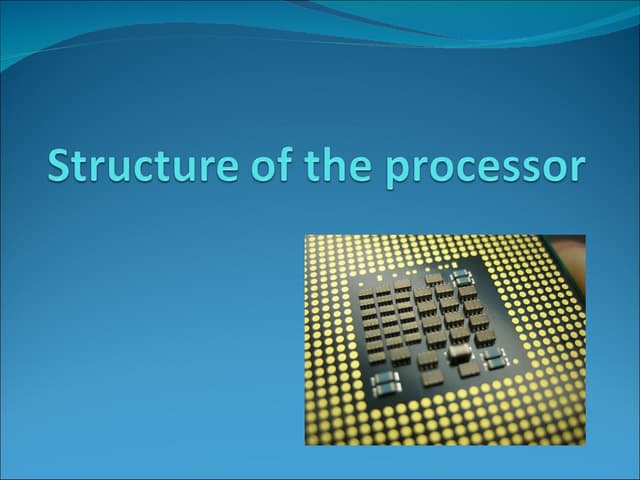 The Processor
