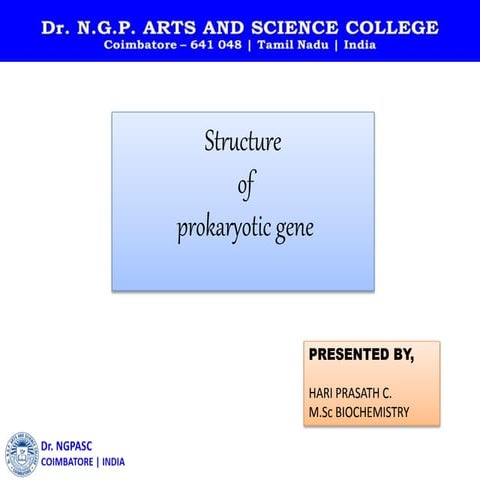 Structure of prokaryotic genes.
