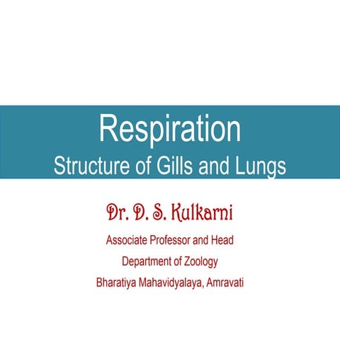 Structure of respiratory organs