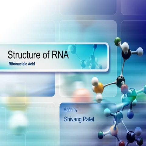 Structure of RNA
