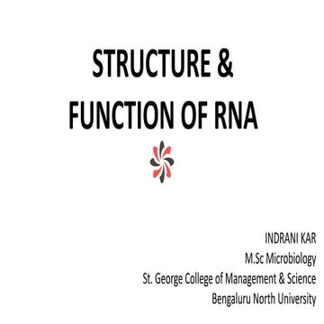 Structure and function of RNA