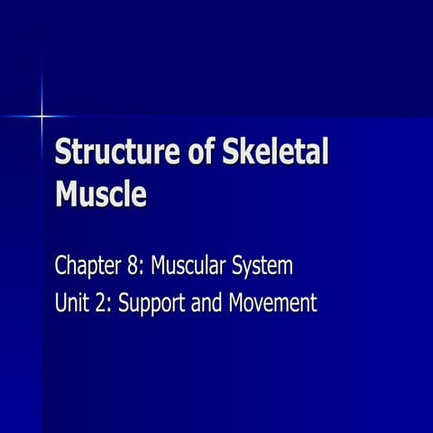 Structure of skeletal_muscle