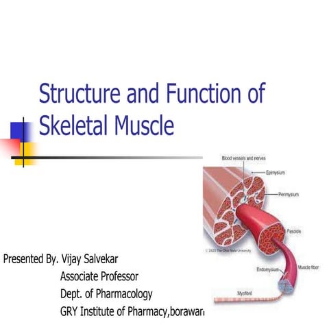 structure of skeletal muscle.ppt.pptx
