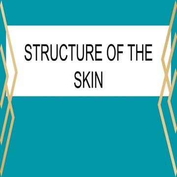 Structure of Skin ,different skin structures | PDF
